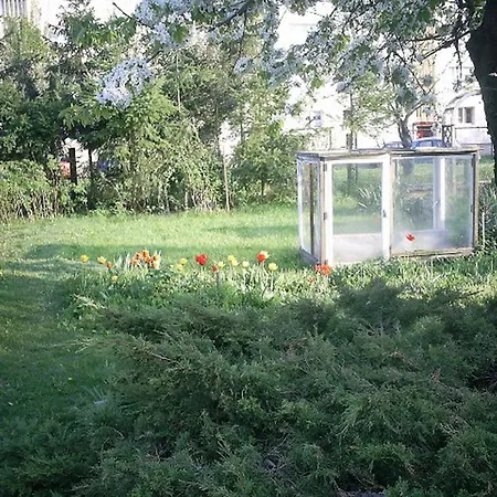 Ferienhaus Krähmer Kelbra Zimmer foto
